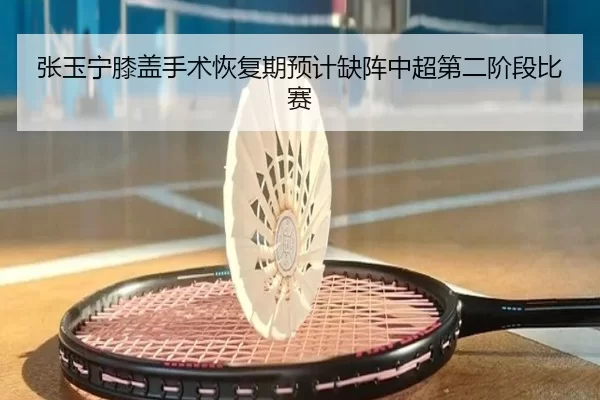 张玉宁膝盖手术恢复期预计缺阵中超第二阶段比赛